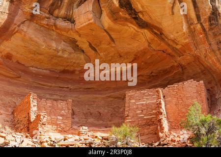 Canyon des anciens Banque D'Images