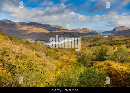 Vue depuis Ladies vue sur le lac Muckross dans le parc national de Killarney en Irlande Banque D'Images