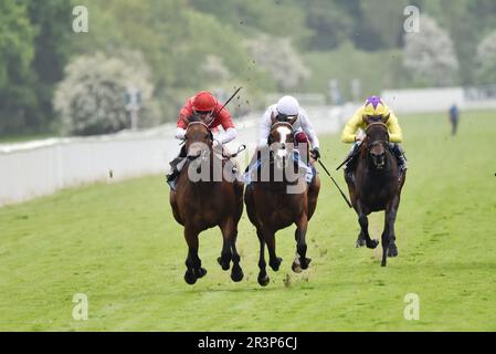 Frankie Dettori et Free Wind au Dante Festival Banque D'Images