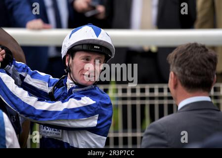 Les renards ont remporté les enjeux Al Basti Equiworld Dubai Dante Banque D'Images