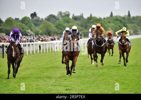 Les renards ont remporté les enjeux Al Basti Equiworld Dubai Dante Banque D'Images