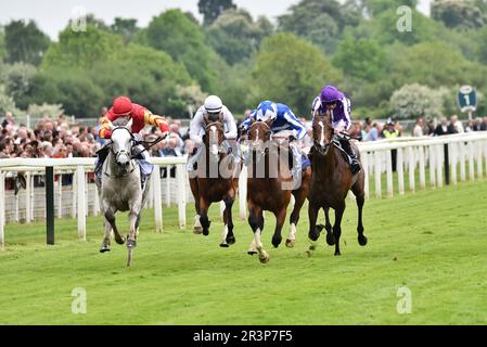 Les renards ont remporté les enjeux Al Basti Equiworld Dubai Dante Banque D'Images