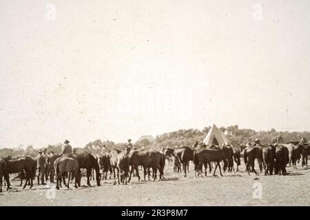 Ville de Londres Imperial Volunteers CIV, en choisissant leurs montures pendant la Seconde Guerre des Boers, le Cap Afrique du Sud, British Military History 1900, photo d'époque Banque D'Images