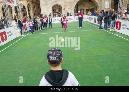 Oltre 500 bambini giocano con le quattro stelle dello sport italiano: Adriano Panatta, Francesco Graziani, Andrea Lucchetta e Juri Chechi. L'evento è Banque D'Images