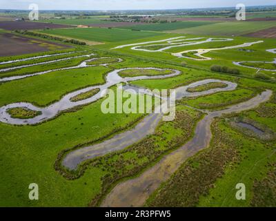 23rd mai 2023 terres humides artificielles dans le Lincolnshire fens Banque D'Images