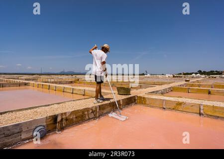 Flor de Sal des Trenc, bassins de chauffage et d'évaporation, Salobrar de Campos, Campos del Puerto, Majorque, Iles Baléares, Espagne, Europe. Banque D'Images