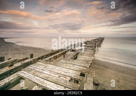 Costanera, Punta Arenas -Sandy point-, Patagonie, République du Chili, Amérique du Sud. Banque D'Images