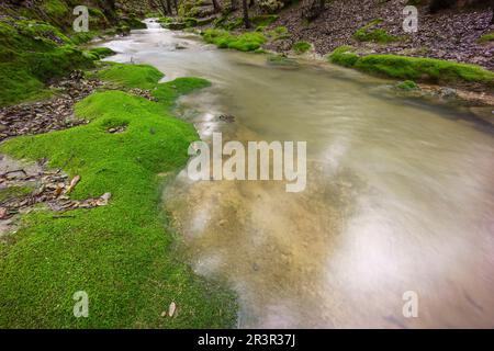 Torrente Es Freu. Orient, la Sierra de Tramuntana. Mallorca. Îles Baléares. L'Espagne. Banque D'Images