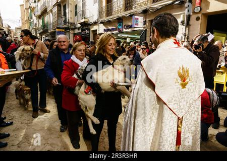 Bendicion de los animales de Sant Antoni,Palma, Mallorca, Islas Baleares, Espagne. Banque D'Images