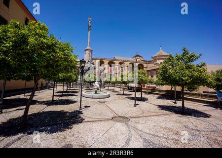 Mosquée-cathédrale de Cordoue, Andalousie, espagne. Banque D'Images