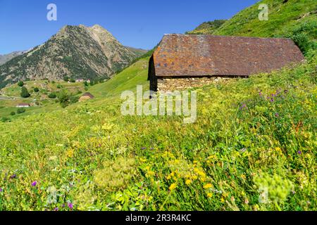 Granjas de biadós, Valle de Añes Cruces, le parc naturel de Posets-Maladeta, Huesca, cordillera de los Pirineos, Espagne. Banque D'Images