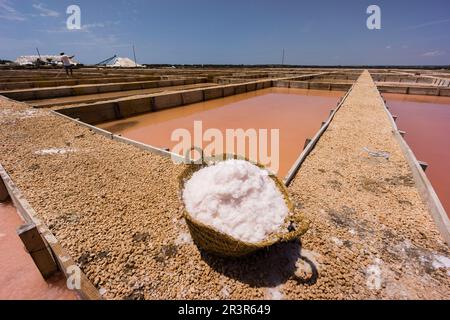 Flor de Sal des Trenc, bassins de chauffage et d'évaporation, Salobrar de Campos, Campos del Puerto, Majorque, Iles Baléares, Espagne, Europe. Banque D'Images