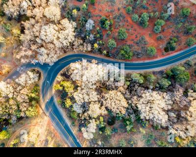 Vue aérienne de drone d'Un paysage désertique avec Une route de Curvy qui le traverse dans le sud-ouest américain Banque D'Images