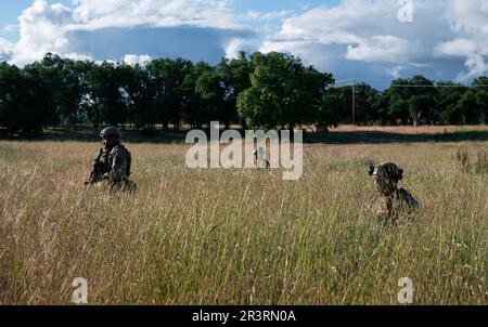 ÉTATS-UNIS Les Marines affectés à 2nd bataillon, 7th Marines, 1st division Marine, effectuent la surveillance après leur arrivée à Schoonover Air Field aux États-Unis Armée fort Hunter-Liggett, Californie, lors d'un exercice d'entraînement conjoint sur le terrain 4 mai 2023. L'exercice Storm Crow est un exercice de préparation à l'exception d'un exercice à plus grande échelle, Golden Phoenix, organisé par la base aérienne de Travis avec le soutien complet du spectre des unités partenaires pour inclure l'aile d'intervention en cas de crise 621st, la base conjointe McGuire dix Lakehurst, New Jersey, la base aérienne de réserve de mobilité aérienne de 349th Travis AFB, La Californie et la première force expéditionnaire maritime, Cam Banque D'Images