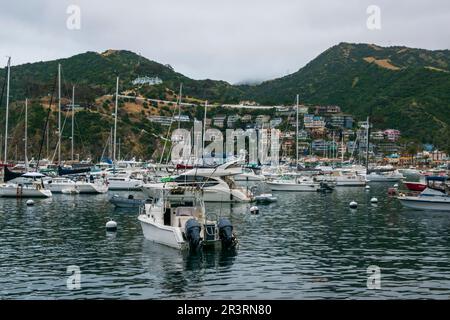 La ville d'Avalon est le principal centre de population de l'île de Catalina, CA, USA. Banque D'Images