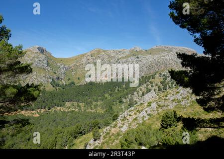 Mola de sEsclop, 929 mts, y coma des Voltors, Finca Pública Galatzó, Calvia, Majorque, iles baléares, espagne, europe. Banque D'Images