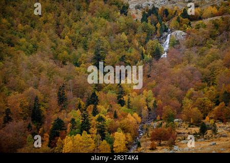 Forêt décidue mixte, Molières valley, Aran , du massif pyrénéen, Lleida, Catalogne, Espagne, Europe. Banque D'Images