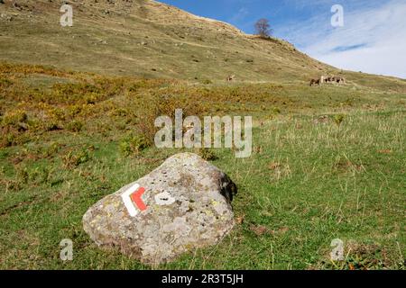 Sentier GR11, vallée de hecho, vallées de l'ouest, du massif pyrénéen, province de Huesca, Aragon, Espagne, Europe. Banque D'Images