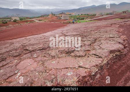 Empreintes de dinosaures, jurassique moyen à haut, parc géographique Iouaridene, Beni Mellal-Khenifra, chaîne de montagnes de l'Atlas, maroc, afrique. Banque D'Images