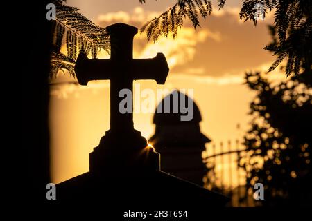 Cimetière de Santa Maria, Majorque, Iles Baléares, Espagne. Banque D'Images