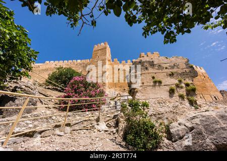 Castillo de La Iruela, Origène, almohade construido sobre cimientos pre-bereberes, La Iruela, Valle del Guadalquivir, Parque Natural sierras de Cazorla, Segura y Las Villas, Jaén, Andalousie, espagne. Banque D'Images