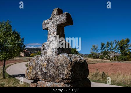 Traverser la route, Ermita de Santa Coloma, Albendiego, province de Guadalajara, Espagne. Banque D'Images