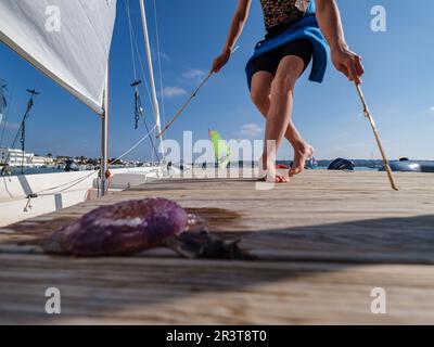 Estany des Peix, Ecole de voile, Formentera, Iles Pitiuses, Communauté des Baléares, Espagne. Banque D'Images