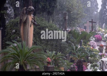 ange de la tombe commémorative appartenant à la famille Ripoll Ballester, cimetière de Soller, Majorque, Iles Baléares, Espagne. Banque D'Images