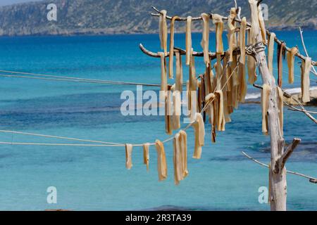 'Peix sec'.Es Caló de Sant Agustí..formentera.Islas Pitiusas.Baleares.España. Banque D'Images