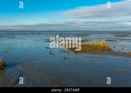 Marée basse dans la mer des Wadden près de Hilgenriedersiel sur la côte de la Mer du Nord de la Frise orientale Banque D'Images