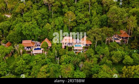 Couple d'hommes et de femmes en vacances de luxe dans une villa de piscine dans la forêt tropicale de la jungle Banque D'Images