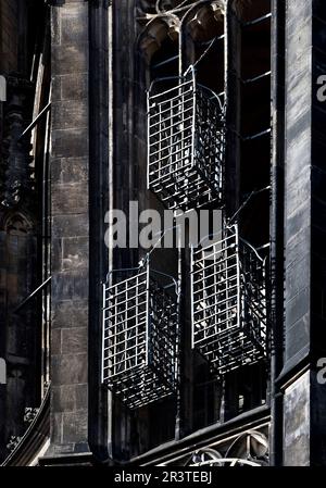 Les paniers originaux sur la tour de St Lambertikirche, Muenster, Allemagne, Europe Banque D'Images