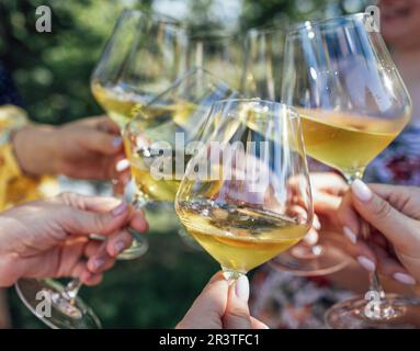 Faire un toast de fête avec du vin mousseux. Les mains des femmes tiennent des verres de champagne. Banque D'Images