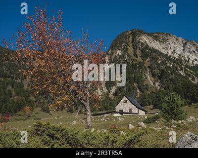 Gîte de vacances des Pyrénées, Praderas de Colomers, Pyrénées, Lleida, Espagne Banque D'Images