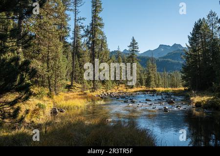 Rivière à Praderas de Colomers, Pyrénées, Lleida, Espagne Banque D'Images