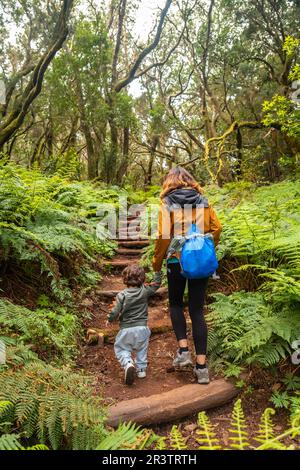 Mère et fils grimpant des escaliers sur le sentier dans la forêt d'arbres mousseux du parc national de Garajonay, la Gomera, îles Canaries. Sur l'excursion à Las Banque D'Images