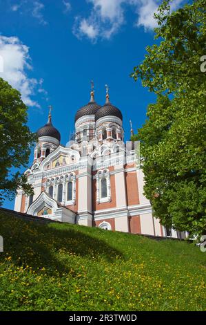 Cathédrale Alexandre Nevski, Etats baltes, Europe, orthodoxe russe, colline de Toompea, Tallinn, Estonie Banque D'Images