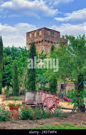 Castello di Spedaletto, Château, Pienza, Toscane, Italie Banque D'Images