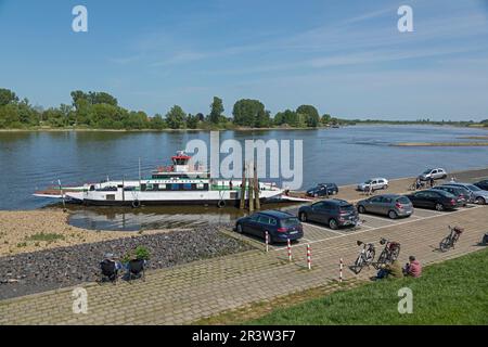 Elbe, gens, voitures conduisant sur le ferry Zollenspieker-Hoopte, Hoopte, Winsen (Luhe), Basse-Saxe, sur la banque opposée Zollenspieker, Hambourg Banque D'Images