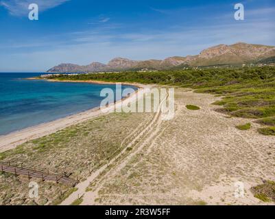 Chemin en bois pour protéger les dunes Banque D'Images