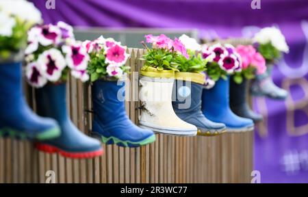 Hanovre, Allemagne. 25th mai 2023. Des bottes en caoutchouc pour enfants avec fleurs sont accrochées à une clôture dans un centre de garderie de la région de Hanovre. Jeudi, une conférence sur "assurer la qualité de l'éducation dans les garderies - lutter contre la pénurie de travailleurs qualifiés" se tiendra à Hanovre. Credit: Julian Stratenschulte/dpa/Alay Live News Banque D'Images