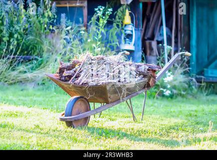 Brouette métallique dans le jardin pleine de feuilles et de branches sèches. Banque D'Images