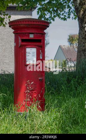 Boîte postale britannique rouge sous les arbres et dans l'herbe longue. Banque D'Images