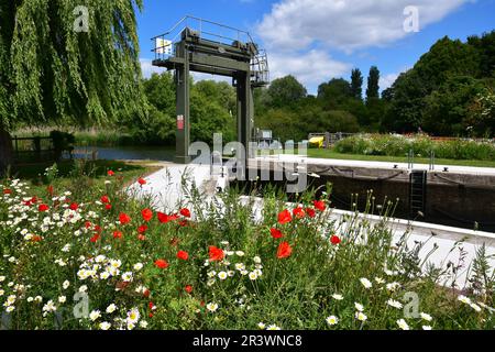 The Lock at Houghton Mill, Houghton Cambridgeshire, Royaume-Uni Banque D'Images