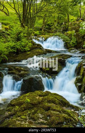 Petite chute d'eau sur Aira Beck près de Dockray dans le district du lac Banque D'Images