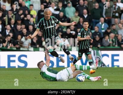 ÉDIMBOURG, ROYAUME-UNI. 24th mai 2023. L'avant celtique, Daizen Maeda, pendant le match entre Hibernian et Celtic dans le Cinch Premiership au Easter Road Stadium, Edimbourg, Midlothian, Royaume-Uni. 24/5/2023. Crédit : Ian Jacobs/Alay Live News Banque D'Images