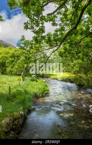 Buttermere Dubs, une rivière étroite dans le Lake District reliant Buttermere à Crummock Water Banque D'Images