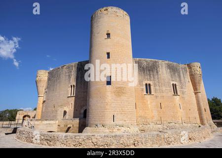 Castillo de Bellver, siglo XIV, estilo gótico, Majorque, Iles Baléares, Espagne. Banque D'Images