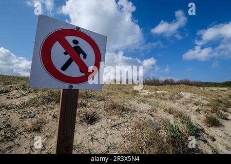 Plage de Tortuga, Parc naturel de s'Albufera des Grau, Minorque, Iles Baléares, Espagne. Banque D'Images