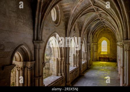 Claustro, construido entre 1317 y 1340, estilo gótico, catedral de Évora, Basílica Catedral Sé de Nossa Senhora da Assunção, Évora, Alentejo, Portugal. Banque D'Images